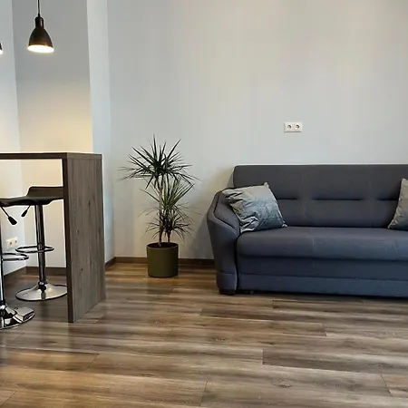 Cozy Apartmant In Oldtown & Free Underground Parking 里加 外观 照片