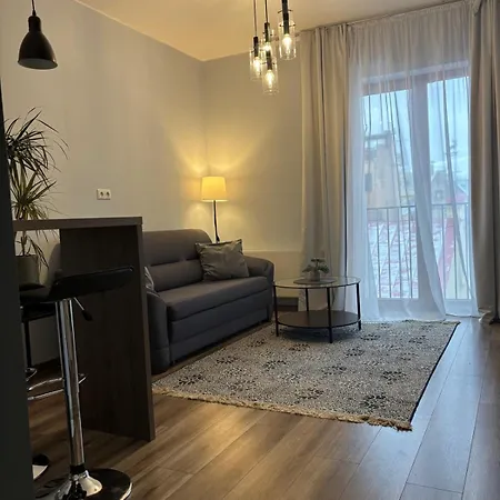 Cozy Apartmant In Oldtown & Free Underground Parking 里加 外观 照片