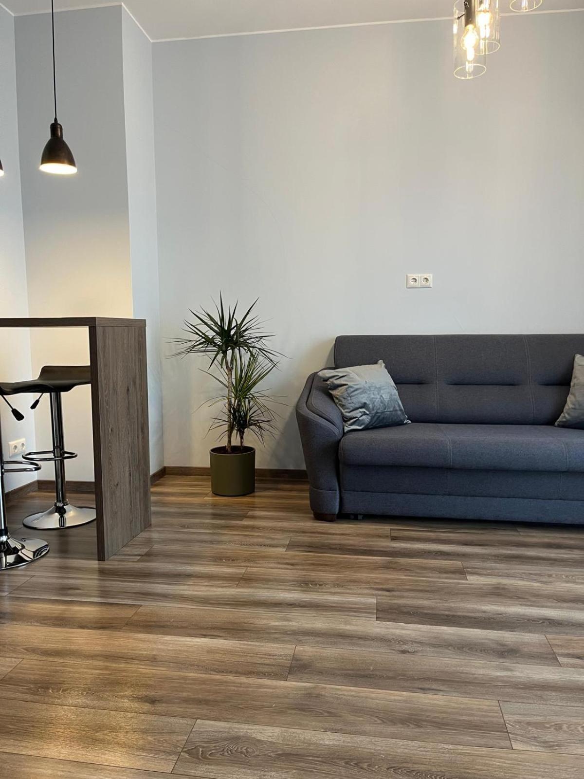 公寓 Cozy Apartmant In Oldtown & Free Underground Parking 里加