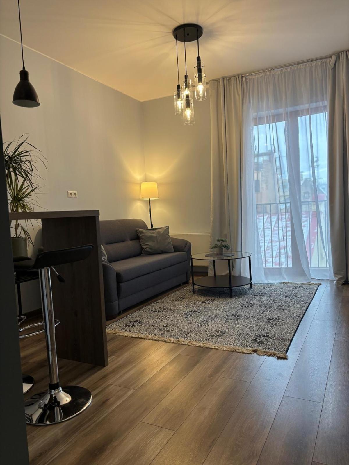 Cozy Apartmant In Oldtown & Free Underground Parking 公寓 里加
